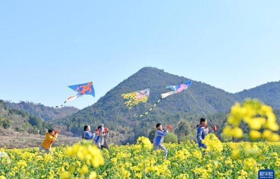 春日踏青，繁花似锦