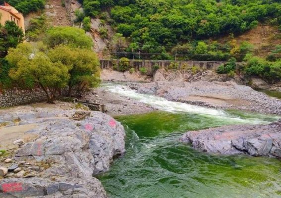 春光无限，黑河国家森林公园盛大开园