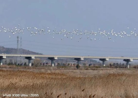 春日里，光影与温暖交织的时光