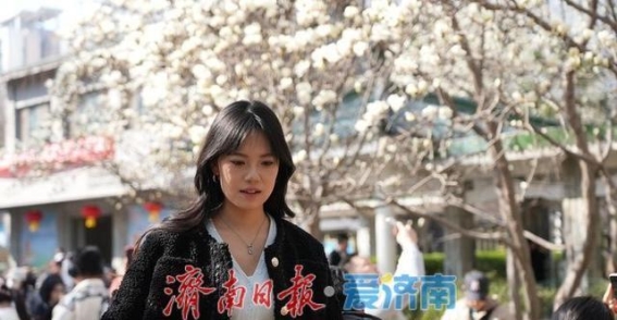 玉兰花再度盛放，济南百花公园春日景象引人入胜