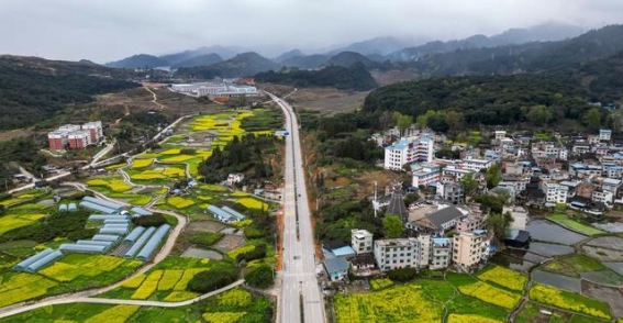 贵州从江：油菜花开田园春光