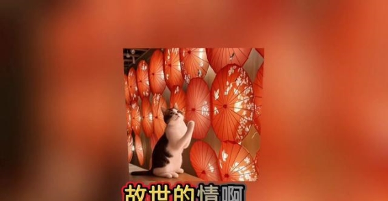 夜游古街，感受千年门楼的风华