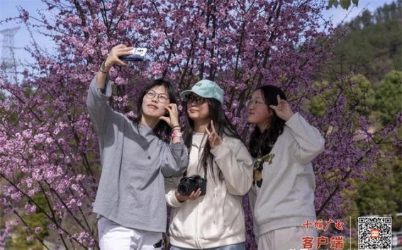 茅箭春季旅游专线开通，带你打卡最美春色