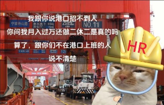 港口人的真实世界