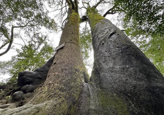 春日里的温暖和宁静