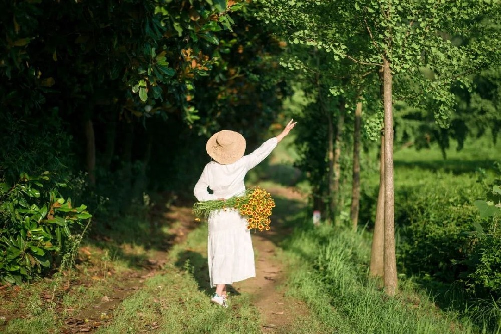 红颜中老：诺奖《有人将至》：无常2023、孤独与死亡的真谛