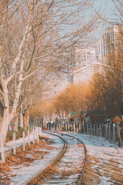 霜降将至，冬季气温偏暖还是偏冷？老祖宗的谚语有不一样的答案！