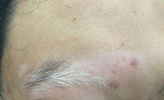 眉毛与长寿的关系：长眉真的能预示长寿吗？