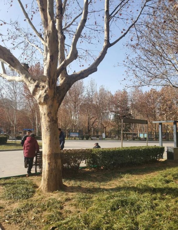 38岁艾滋病患者的故事：从失落到重新开始