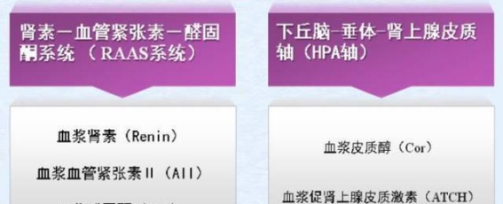 高血压五项助力精准诊断