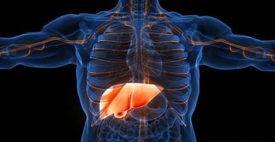 肝囊肿的皮肤信号，你可能忽视的健康警告