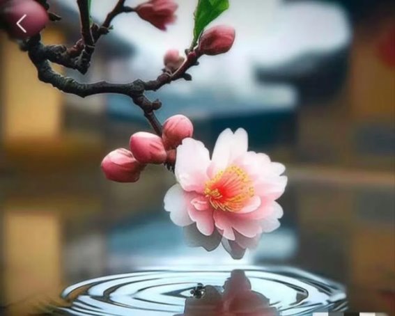 一个方子，通心脑血管，缓解全身疼痛的良方