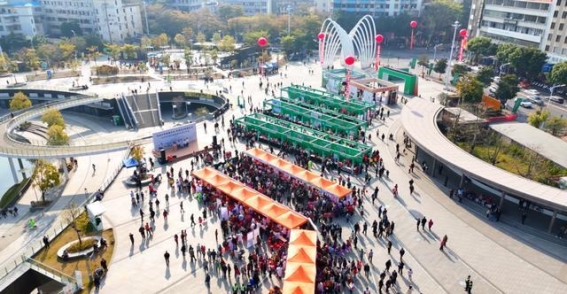 传承与创新：罗定中医药健康集市盛况