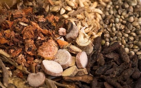 中医治疗儿童多动症的探索：通过调理阴阳平衡重获健康