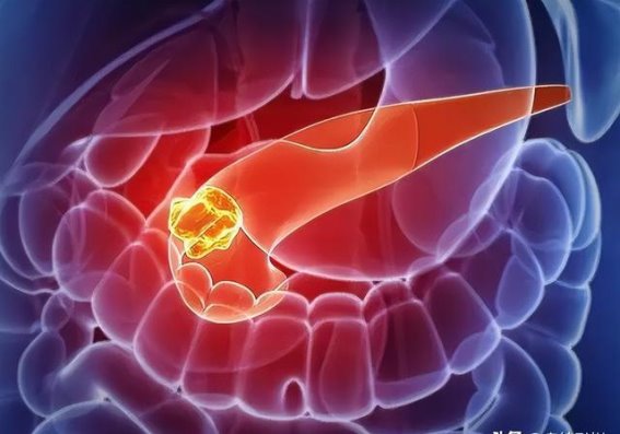 高考英语作文如何在竞争中脱颖而出