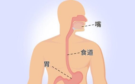 遇到鱼刺卡喉，正确的处理方式和预防建议