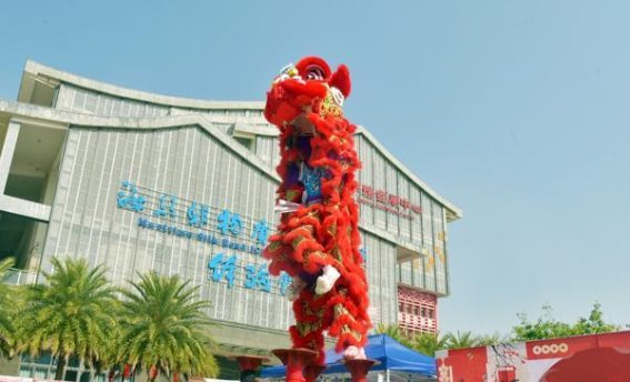 合浦县海丝非遗年货大集市：一场汇聚传统与现代的年味盛宴