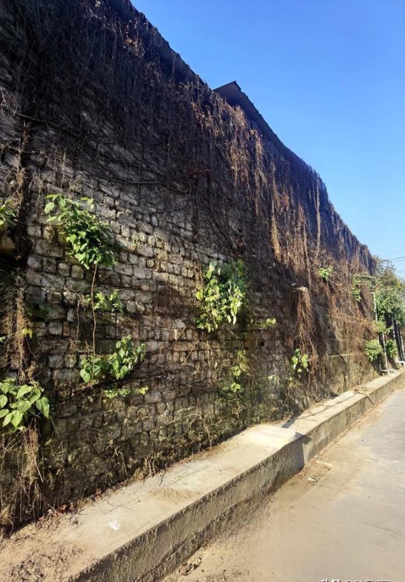 金华旌孝街的历史足迹与文化印记