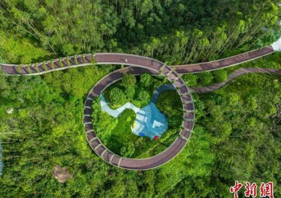 绿美广东加速崛起，人与自然和谐共生