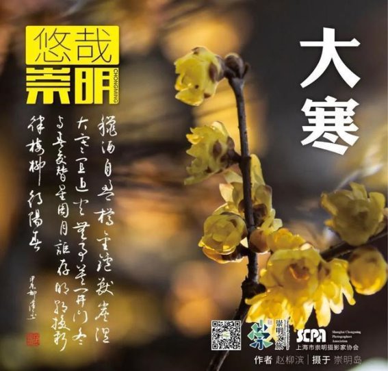 崇明迎春文化盛宴，艺术星光闪耀