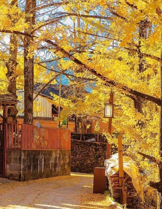 广西五日游全攻略，必去景点与实用建议大揭秘