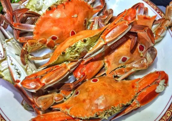 两人香港四天五夜游玩攻略，玩转香港不再迷茫