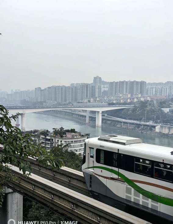 半山崖上，城市与自然的交响曲