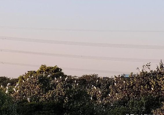 南沙的露营地探寻：滨海公园、渔舟唱晚与渔业产业园的独特魅力