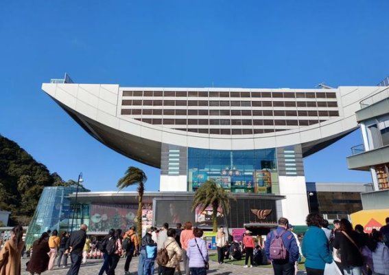 老年人也能轻松玩转香港自由行，像我这样就够了！