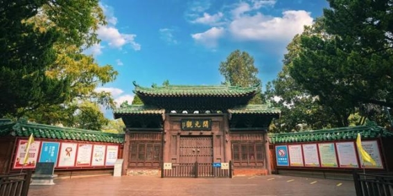 荆州博物馆春节假期开放安排与参观指南