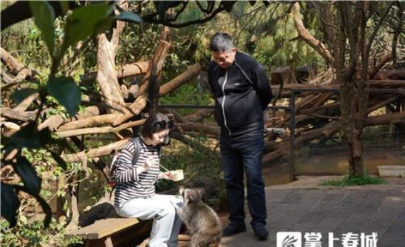 人与自然和谐共生——昆明举办野生动植物保护公益活动