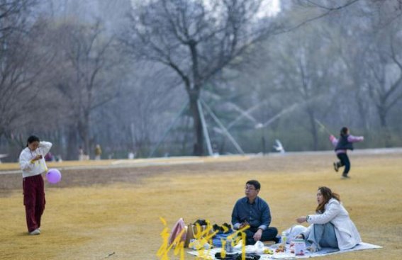 春暖花开，泉城草坪迎春踏青时光