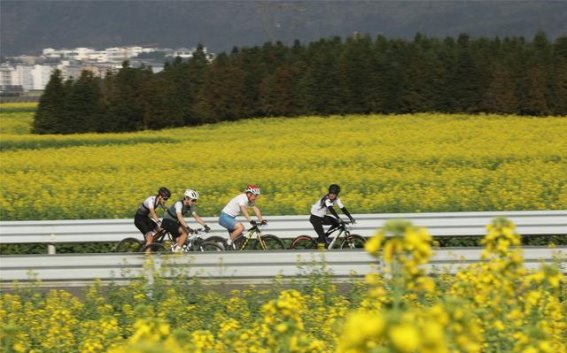 骑行花海，逐梦罗平——2025曲靖罗平第十届花海山地自行车赛圆满落幕