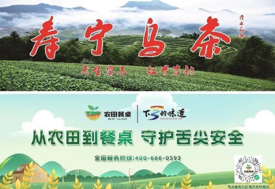 含溪村的樱花海：春风拂面，花开如梦