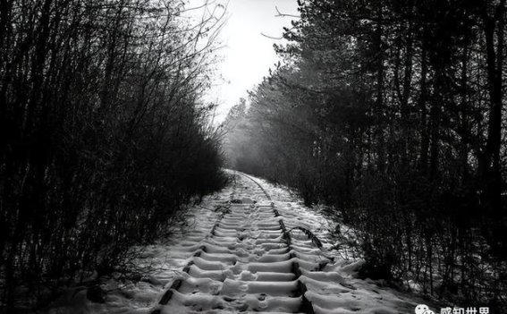 风景摄影必学的九个技巧