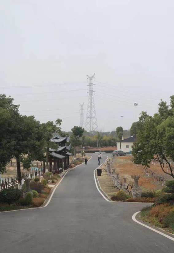 诸葛城与牛尾湖的历史与热闹交织