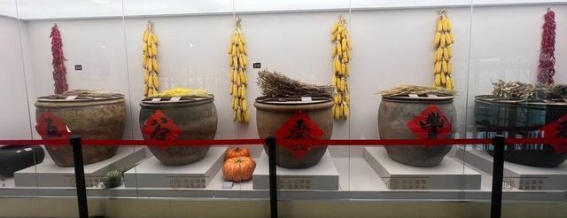 崂山民俗档案展示馆：承载历史与乡愁的文化地标