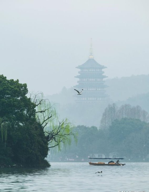 在杭州的日子：细品这座城市的柔情与力量