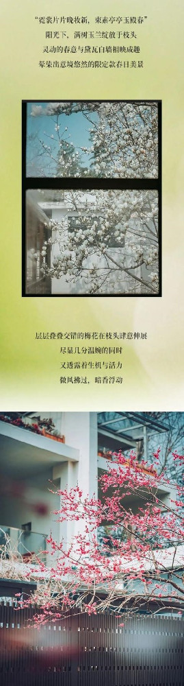 在扬州大运河度假区，邂逅春日的慢生活