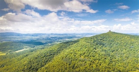 同饮珠江水 共护珠源美——沾益区推动民族团结与绿色发展的实践