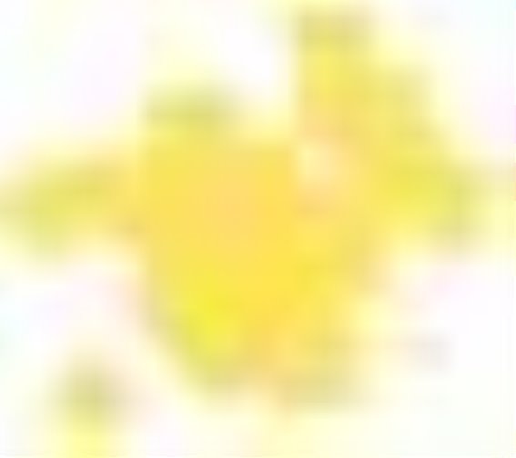 2025年第十三届万溪梨花节：梨花与文化的盛大相遇