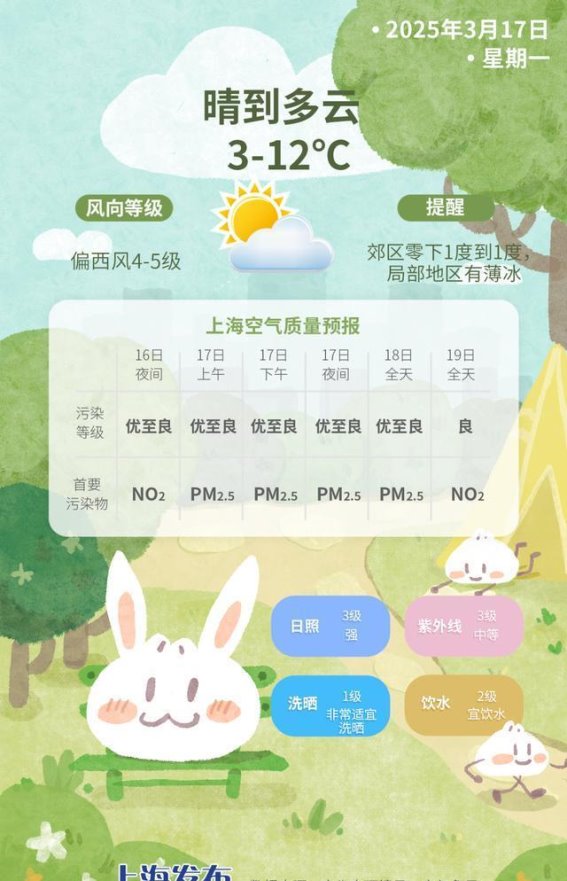 长宁春日：温暖与文化的交织