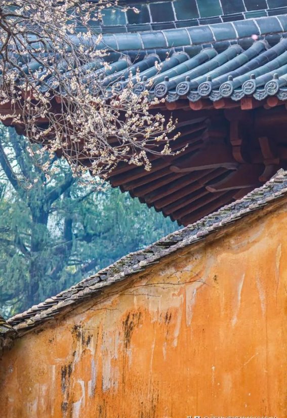 国清寺：一处远离喧嚣的心灵净土