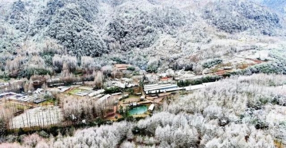 四川春雪再至，冷暖交织的季节