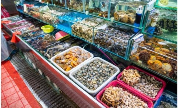 3·15曝光的三大坑人景点，如何避开这些“消费陷阱”