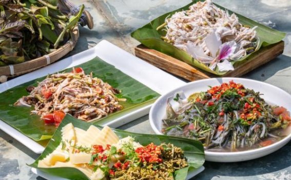 昆明“吃花模式”成为春日踏青新亮点