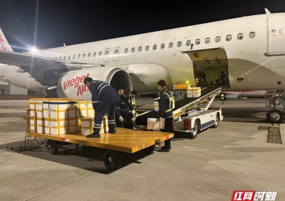 张家界荷花机场迎来越南活龙虾进口，国际货运能力再上新台阶