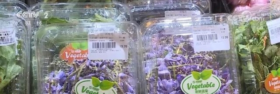 春天的盛宴：美景与美食共舞，点亮地方经济