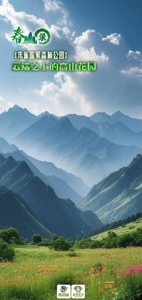 踏春秦岭，探访鄠邑春光